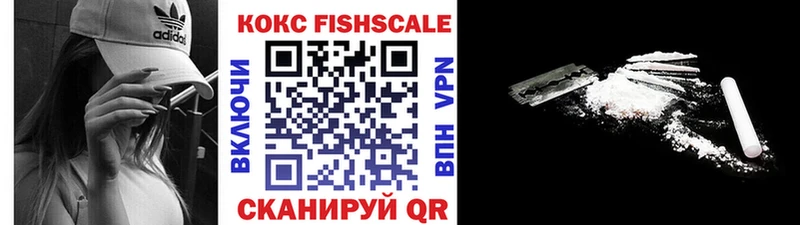 Купить закладки  Курчалой  Cocaine FishScale 