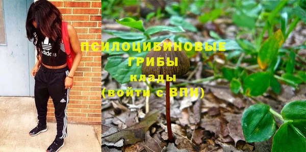 стафф Магас