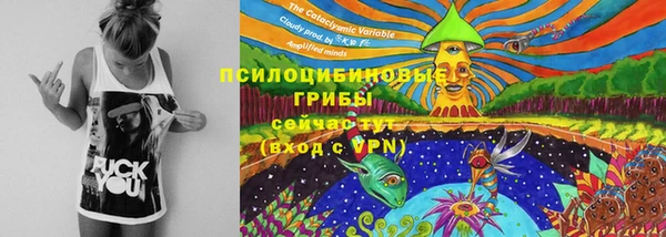 мяу мяу мука Мегион