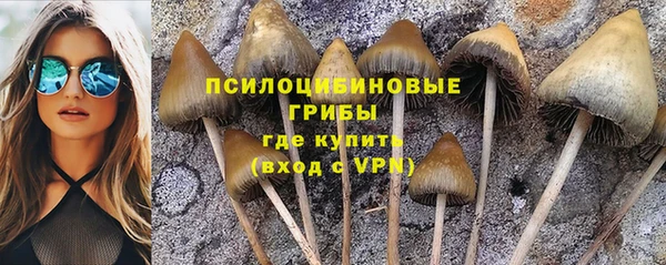 амф Майский