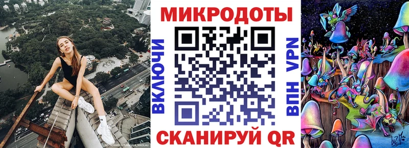 Псилоцибиновые грибы Magic Shrooms  Купить закладки  Курчалой 