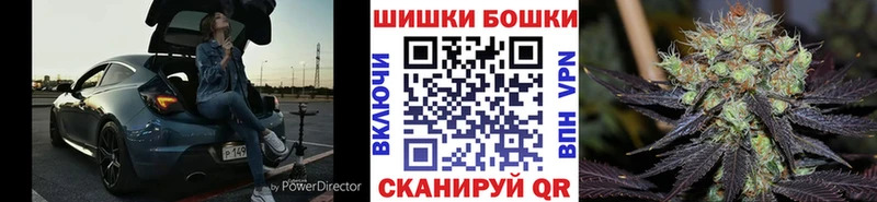 Бошки Шишки индика Курчалой